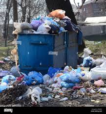 Best Recycling Services for Junk  in Shrub Oak, NY